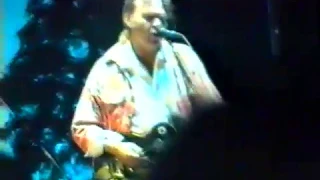 Neil Young Pearl Jam RDS Arena Dublin 26 aug 1995