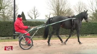 OASIS BI - Grand Prix de Belgique 2017