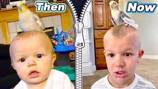 Recreating Old Baby Pictures With The Tannerites!