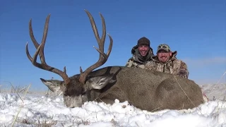 Hunter Takes GIANT Mule Deer at 210 yards Hunting in Alberta