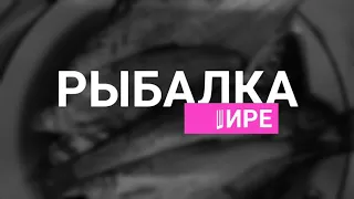 Рыбалка на Широковском водахранилище