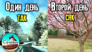 Ну, очень интересная зима в Северной Каролине! Впечатления после 3-х зим во Флориде