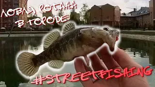 Как поймать ротана??? .Street Fishing