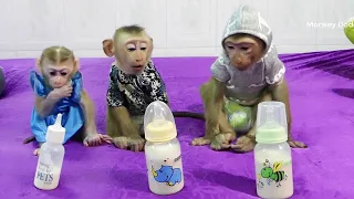 Three Obedient Mr.Donal Moly & Zuji Organized Sitting Wait Mom Allow To Drink Milk