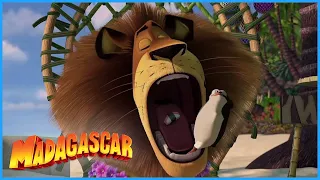 DreamWorks Madagascar | This Is Better Than Steak |  Madagascar Movie Clip