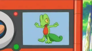 Treecko Pokedex Entry no.252