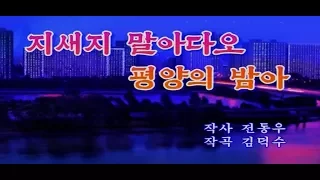 北朝鮮カラオケシリーズ 「明けてくれるな平壌の夜よ (지새지 말아다오 평양의 밤아)」 日本語字幕付き