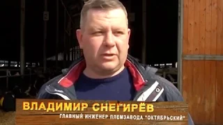 Отзыв Племзавода Октябрьский об измельчителе рулонов ИР 1 8