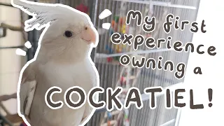 My First Experience Owning a Cockatiel! | Bird Vlog