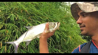 Catching Tarpon and Snook at Frederiksdorp - Suriname