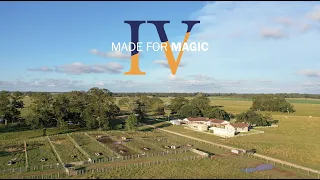 V8 Made for Magic IV Online Sale October 25-26, 2021