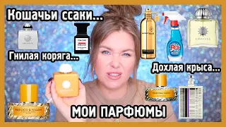 МОЯ КОЛЛЕКЦИЯ ПАРФЮМОВ I Vilhelm parfumerie, Hermes, Amouage