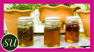 DIY Infused Honey | Honey 101: Raw honey, Manuka honey & Infused honey