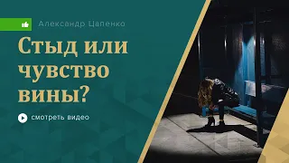 Стыд или чувство вины?