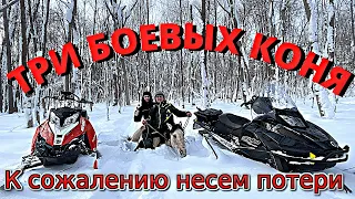 Деревенские будни/ К сожалению потеряли еще одного жеребенка/ КФХ Идиятуллин