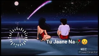 Tu Jaane Na Slowed+Reverb (LoFi Chillout Remix) BICKY OFFICIAL(AllDjsMashup.Com