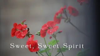 262 SDA Hymn -  Sweet, Sweet Spirit  (Singing w/ Lyrics)