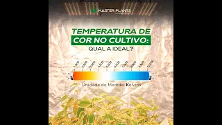 O que é TEMPERATURA DE COR no Cultivo Indoor? - Master Plants Academy