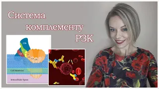 Система комплементу. Шляхи активації комплементу.  РЗК