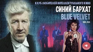 #КИНОЛИКБЕЗ : Синий бархат