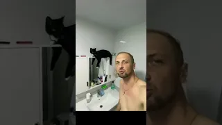 😂Все решено Мой Котик Гараж | мемы | приколы от Зубарев #юмор #стендап #Китай #Shorts