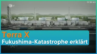 Terra X: Die Katastrophe von Fukushima
