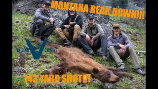 BEAR HUNTING - MONTANA 2022