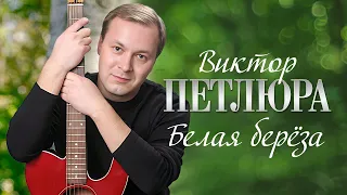 ВИКТОР ПЕТЛЮРА - Белая берёза | Official Music Video | 2006 г. | 12+