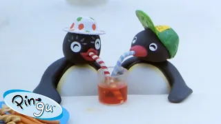 Pingu Loves Food!🐧 | Pingu - Official Channel | Cartoons For Kids
