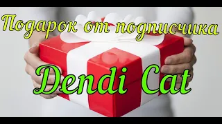 Распаковка подарка от подписчика Dendi CaT