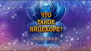 Что такое Яйцехоре?  -  Ведаманъ Ведагоръ(Трехлебов)