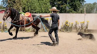 UN DIA EN EL RANCHO !!!