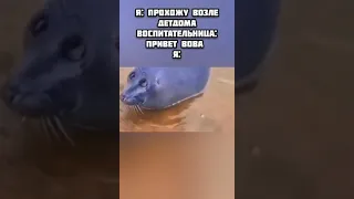 детдом / мем грустный тюлень