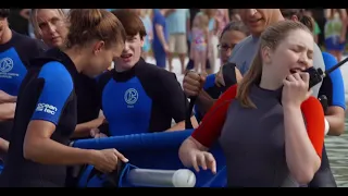 Clip from A Dolphin Tale 2 (2014)