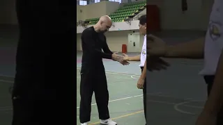 Kung Fu Master demonstrates Pressure Point Striking