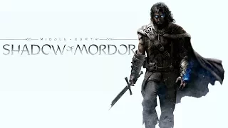 Тест производительности Middle Earth  Shadow of Mordor i5-4690 GTX 1060 3Gb 8Gb RAM