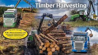 PM Processing Timber Harvesting | John Deere