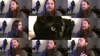 My Cat Knows What You Do In The Dark - Fall Out Boy Parody; Acapella