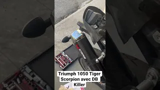 Triumph 1050 Tiger pot Scorpion avec DB Killer