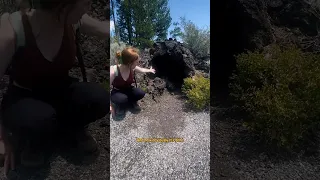 These tree molds are 7,000 years old! #geology #oregon #lavaflow #geologist