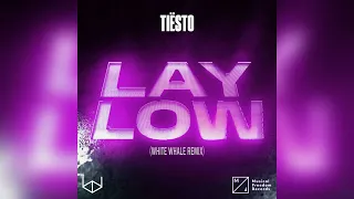 Tiesto - Lay Low (White Whale Remix)