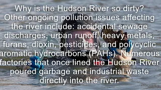 How dirty is the Hudson river?
