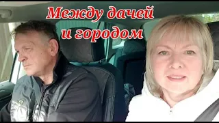 Vlog Жизнь на два дома Не успеваем везде Рассада завяла. Бытовая рутина и новая стрижка