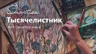 Drawing a picture in mixed media. Yarrow. Vlog of Olga Kruglova.