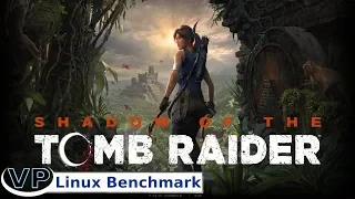 Shadow of the Tomb Raider Linux Native vs Proton