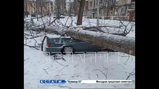 Легкий ураган с тяжелыми последствиями - рухнувшие леса и раздавленные машины