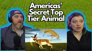 Americas' Secret Top Tier Animal @TierZoo | HatGuy & @gnarlynikki Reacts