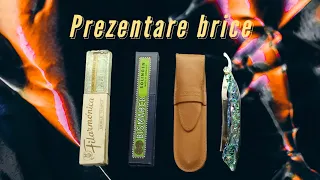 Prezentare brice de bărbierit