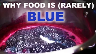 Why food is blue (or usually isn't)