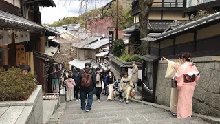 22年3月20日 3連休の賑やかな京都を歩く 清水寺,三年坂,八坂の塔,八坂庚申堂,ねねの道,八坂神社,祇園 Walk around Kyoto city,Japan vlog